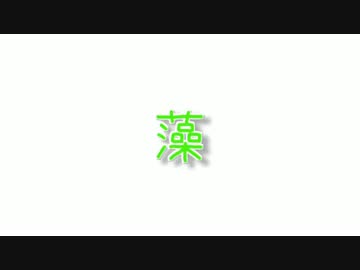 藻