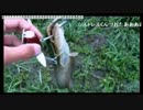 6.12こめ師ナマズ70アップ狙いx264.aac.mp4