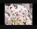 有名人が語る言葉～セス・ゴーディン～（大久保宏明）
