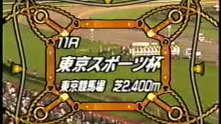 1995 東京スポーツ杯