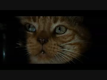 【ゆっくり実況】失われた母の記憶を求めて  Memory:4【ALIEN:ISOLATION】