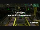【スプラトゥーン非実況】ホットブラスターの極地へ　番外編1【フェス】