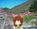 春の神社.vivaldi