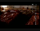【実況】夏が来たしホラーノベルやってくぞ【夜光虫Ⅱ-殺人航路-】part12