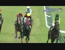 2015年 第32回エプソムカップ(GⅢ) エイシンヒカリ