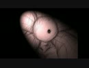 （再エンコードver）勝手に手描きPV　華の影　平沢進