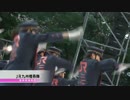 第24回YOSAKOIソーラン祭り　ＪＲ九州櫻燕隊