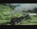 中国四川省・芭石鉄道(嘉陽小火車)　その7
