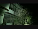 そうだ！廃墟に行こう！　part４～とある廃朝鮮学校～　編