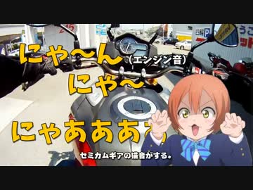 【納車】新しい相棒を紹介するぜ！【バイク】
