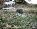 電動エアガンでスポンジを一斉射撃