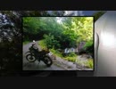 【バイク】週末ツーリング016_西荒川林道