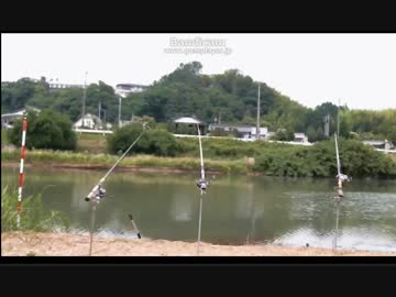 6/15釣果