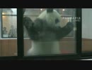 2015年6月13日中継のハイライト 七巧（チーチャオ）は窓を開けようとする。