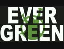 【歌詞・和訳付】Hawaiian6_EVER GREEN