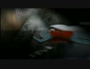 【実況】今夜7時、誰かが死ぬ　鎌鼬の夜編【Part2】