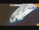 [シナ中国政府] スプラトリー諸島の埋め立て工事「近く完了」: 次は軍事