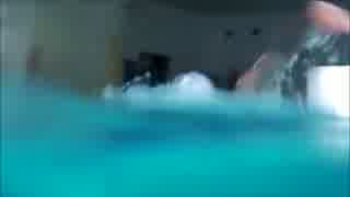 人気の クロール 動画 93本 ニコニコ動画