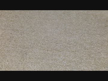 キレるピングー