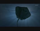 {GTA5} 手配度MAXを海のお友達で逃げ切る [PS4]