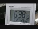 亀の観察記録 20日目
