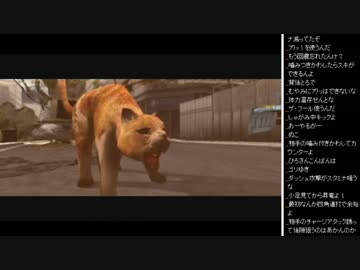 2015年 06月17日 ひろくんのTOKYO JUNGLE (1/3)