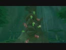 【風のタクトHD】　妹を訪ねて島を旅立つ大冒険part11　【ゼルダの伝説】