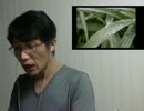 お話などです  2015 06 18 04
