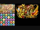 【パズドラ】極限の闘技場　覚醒ラー　20F到達【人柱】