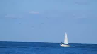 【初音ミク】　マゼンタ号　【オリジナル曲】