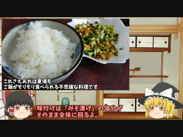 ゆっくり霊夢とゆっくり魔理沙の 家庭菜園 始めるよ  第5回