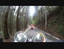 【XJR400】ちょっとだけ若狭ラリー見てきた