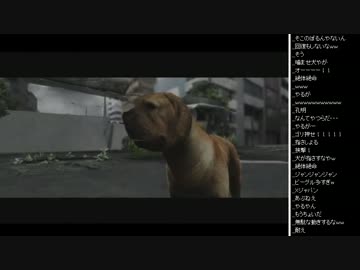 2015年 06月19日 ひろくんのTOKYO JUNGLE (4/6)