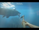 【Stranded Deep】生き残ればいいの？実況２日目
