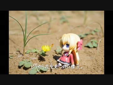 ニート、旅をする【100日目】