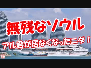 【無残なソウル】 アル君が居なくなったニダ！