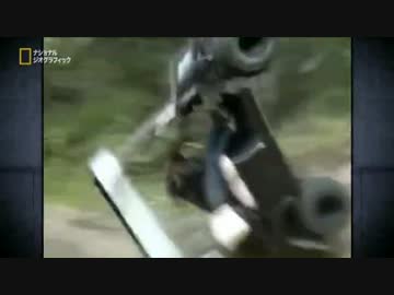 カバを逆さ その惨 Ham分増強