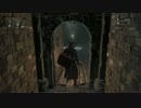 Bloodborne -血塗れた狩人の夢-　#18　【無限従者】