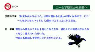 置くだけでカラス・ハトを寄せ付けない「ねずみさんバイバイ」