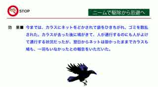 置くだけカラス・鳩を寄せ付けない「ねずみさんバイバイ」飲食店街