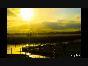 stay lost / yeast
