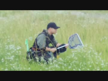 加齢た川遊び　１５年ぶりの多摩川　with猫マグロさん　１