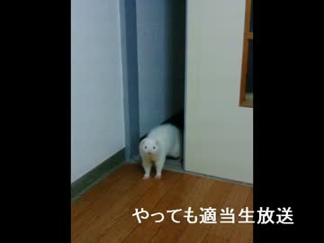 やってもの適当生放送アーカイブ動画　その４