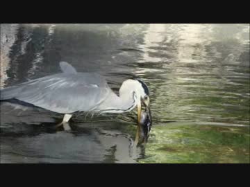 大物とったど～！！