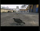 【GTA5】 動物図鑑 「カラス」 【PS4】