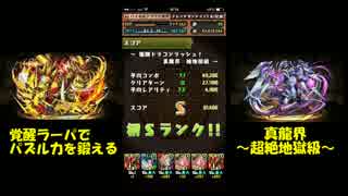 [パズドラ] 覚醒ラーパでパズル力を鍛える～真龍界～