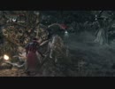 目指せ侵入リスペクト【ブラッドボーン/bloodborne】5respect