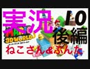 【実況プレイ】配管工の三次元世界、はじめました。　Part10後編