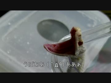 へびごはんの( ´д｀)うぼぁ