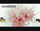 【牧場物語】リアルでもゲームでも牧場part31.5【ゆっくり実況】